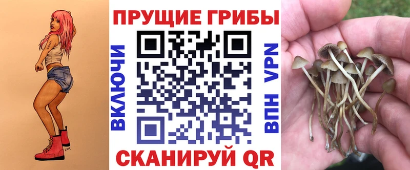 Псилоцибиновые грибы Psilocybine cubensis  Магадан 