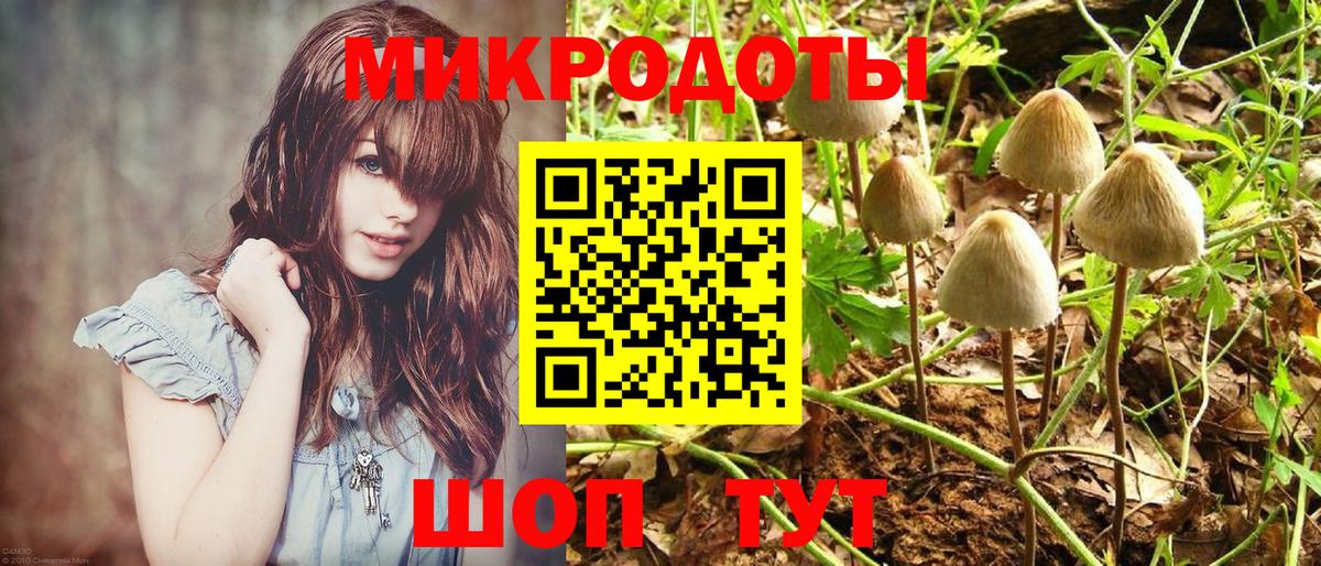 Магадан  Галлюциногенные грибы Psilocybine cubensis  Вход с VPN 